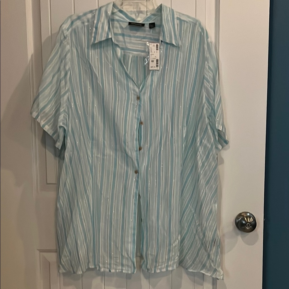 Avenue Light Blue Striped Women's Blouse